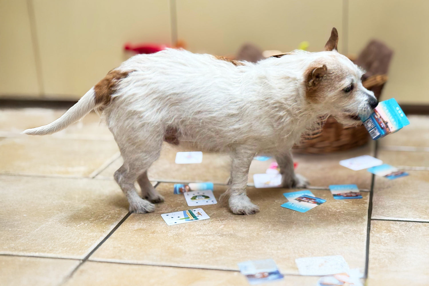 Playing Our Cards Right: Ace Places Recognised For Being Green!