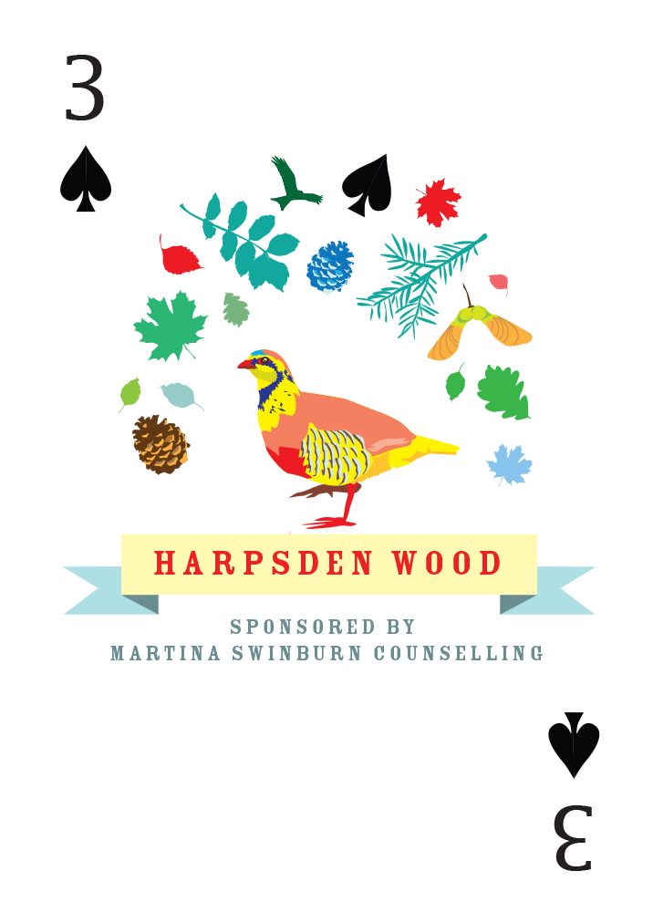 Harpsden Wood Mounted Super-sized Print