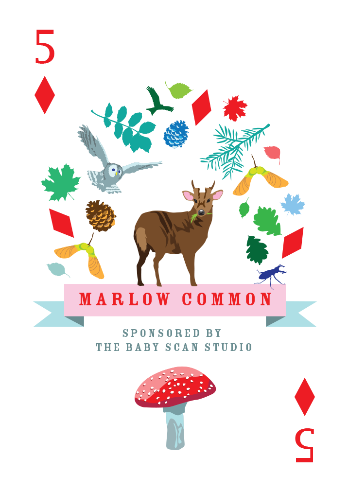 Marlow Common Mounted Super-sized Print